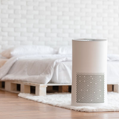 Air Purifiers & Humidifiers